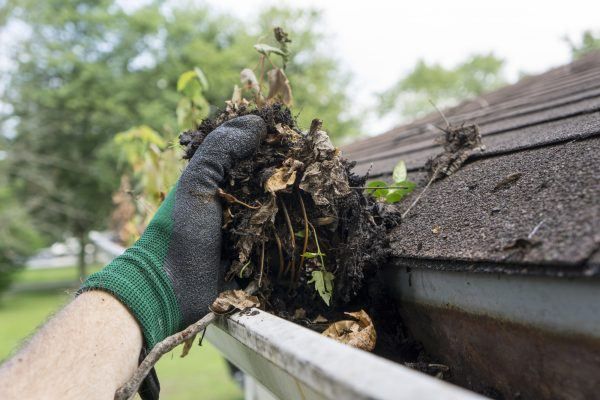 Gutter Cleaning Service Tampa FL 3